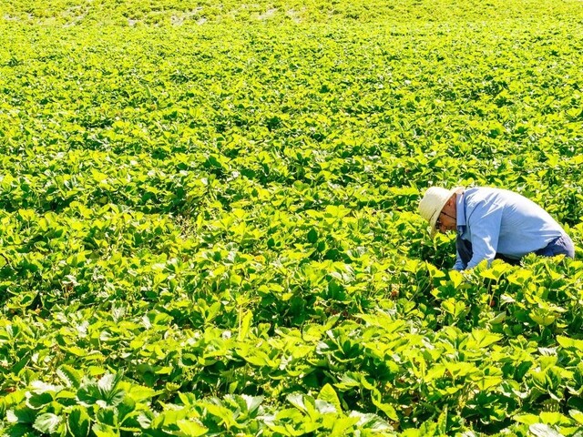 Farmári sa stretli s premiérom, hovorili o dlhodobých problémoch