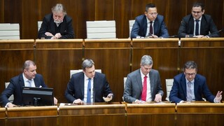 Nedorozumenie, tvrdí Jarjabek o Pellegriniho kritike hlasovania