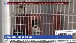 Výstavba útulku v Prešove má problémy, jeho stavba sa výrazne predražila