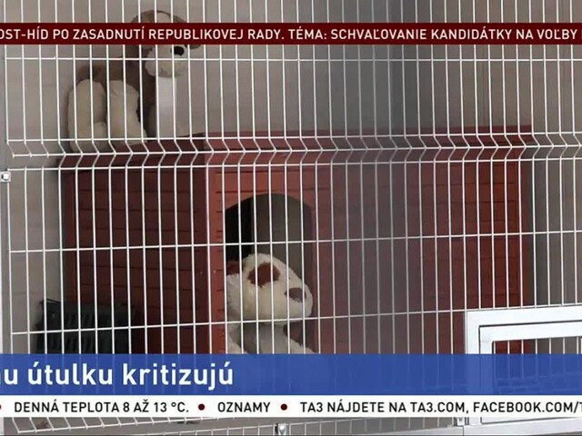 Výstavba útulku v Prešove má problémy, jeho stavba sa výrazne predražila
