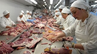 Slovensko zavádza na poľské mäso mimoriadne núdzové opatrenia