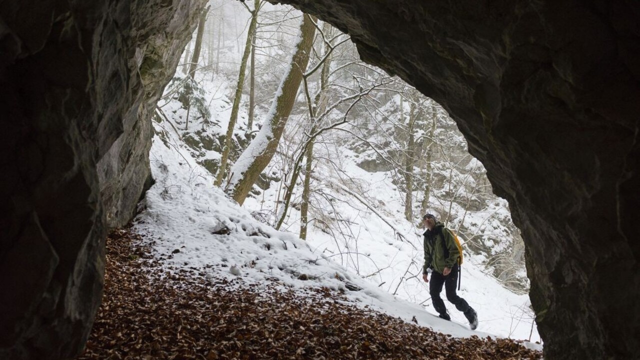 Turisti spôsobili v Slovenskom krase zánik kolónie netopierov