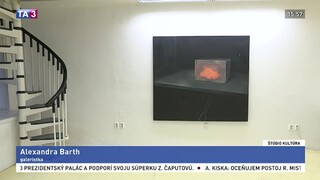 Dobrý vojak Švejk v divadle / Spoločnosť by sa mala zobudiť / 50 saxofónov na pódiu / Štruktúry Tomáš&Viktor Hulík / Tancom o starnutí / Výstavný projekt vymedzenie