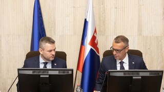 EYOF žiada desiatky miliónov eur, vláda im schválila iba zlomok