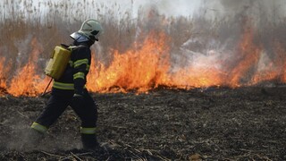 Bratislavské chatky ohrozil požiar, vypukol na Žabom majeri