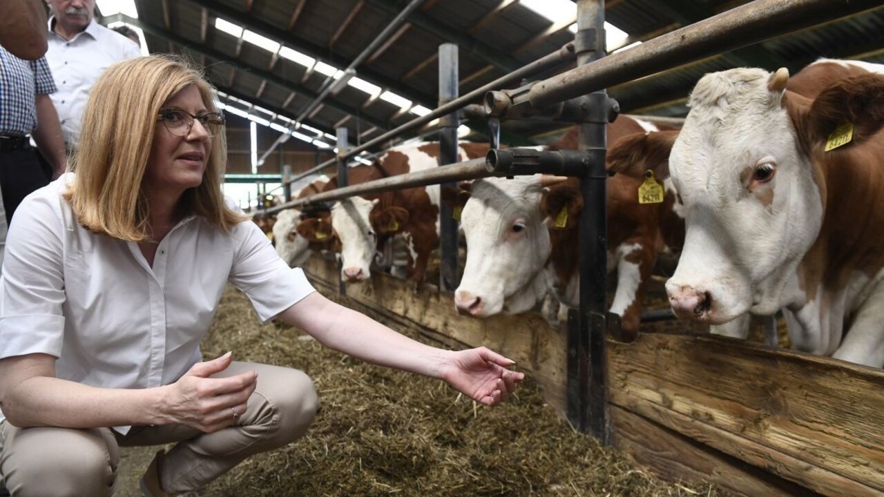 Nepredávajte poľské mäso, vyzvala Matečná obchodné reťazce