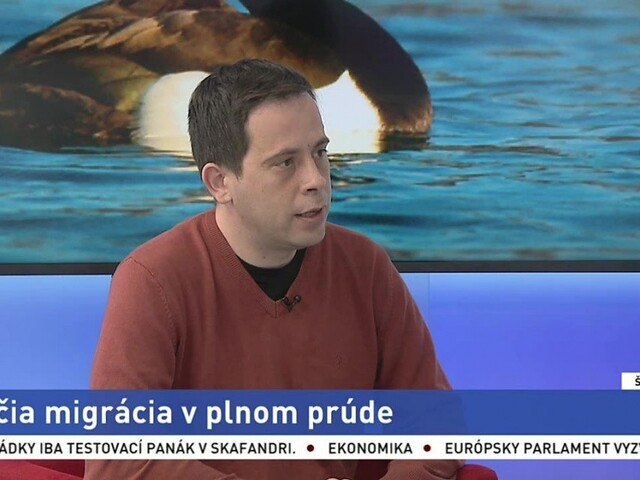ŠTÚDIO TA3: Ornitológ J. Ridzoň o vtáčej migrácii