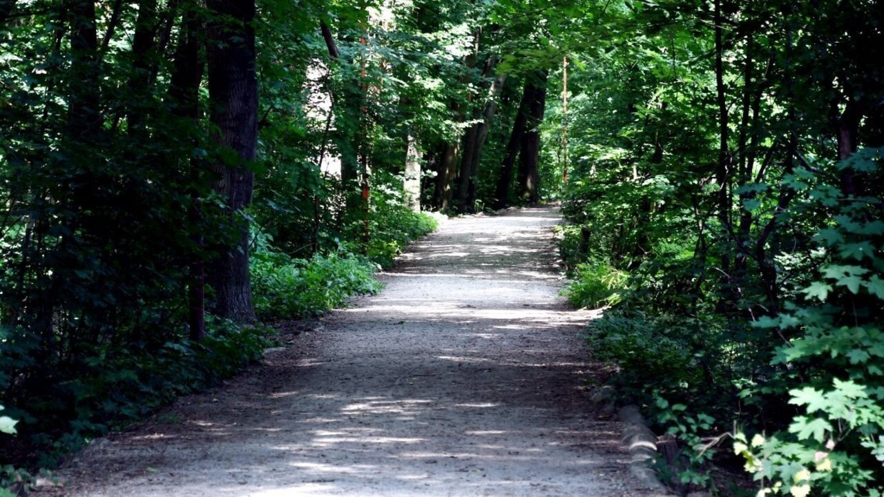 Bratislavské lesy chcú deliť do zón. Výletníci by nevideli výruby