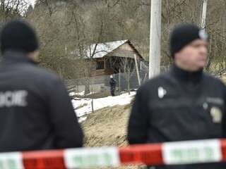 Chov levov mu nepovolili, jeden ho napokon v klietke zabil