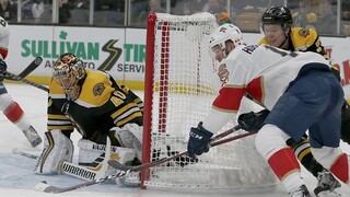 NHL: Boston i Edmonton sa tešili z výhry, Slováci nebodovali