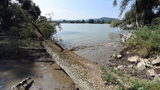 Lesy v Bratislave rozdelia do troch zón, zvýšia tak ich ochranu
