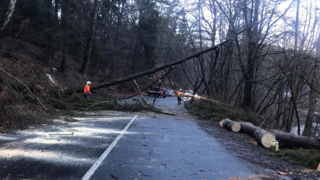 S vetrom bojujú aj v Česku. Desaťtisíce ľudí zostali bez elektriny