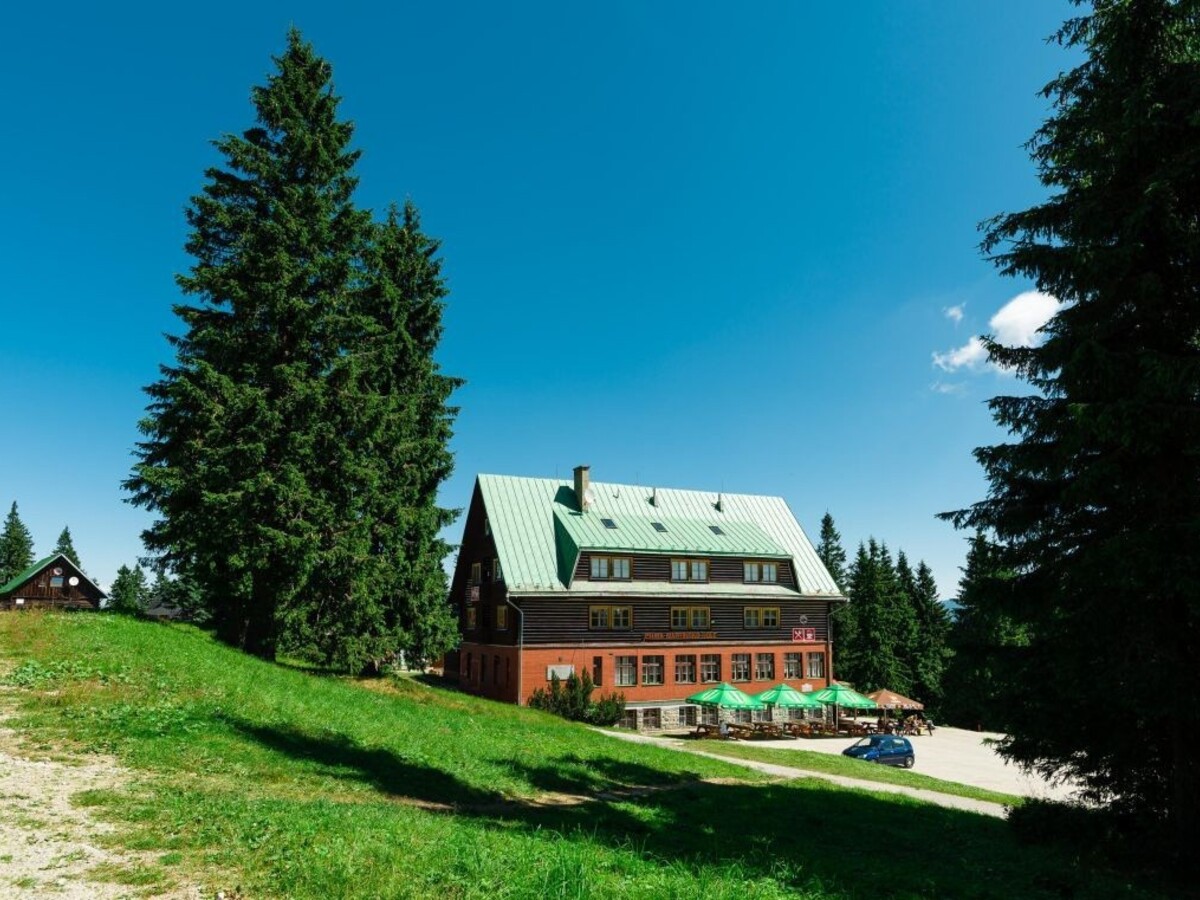Rezort školstva žiada peniaze na poukazy. Zaplaťte ich, vyzýva SaS