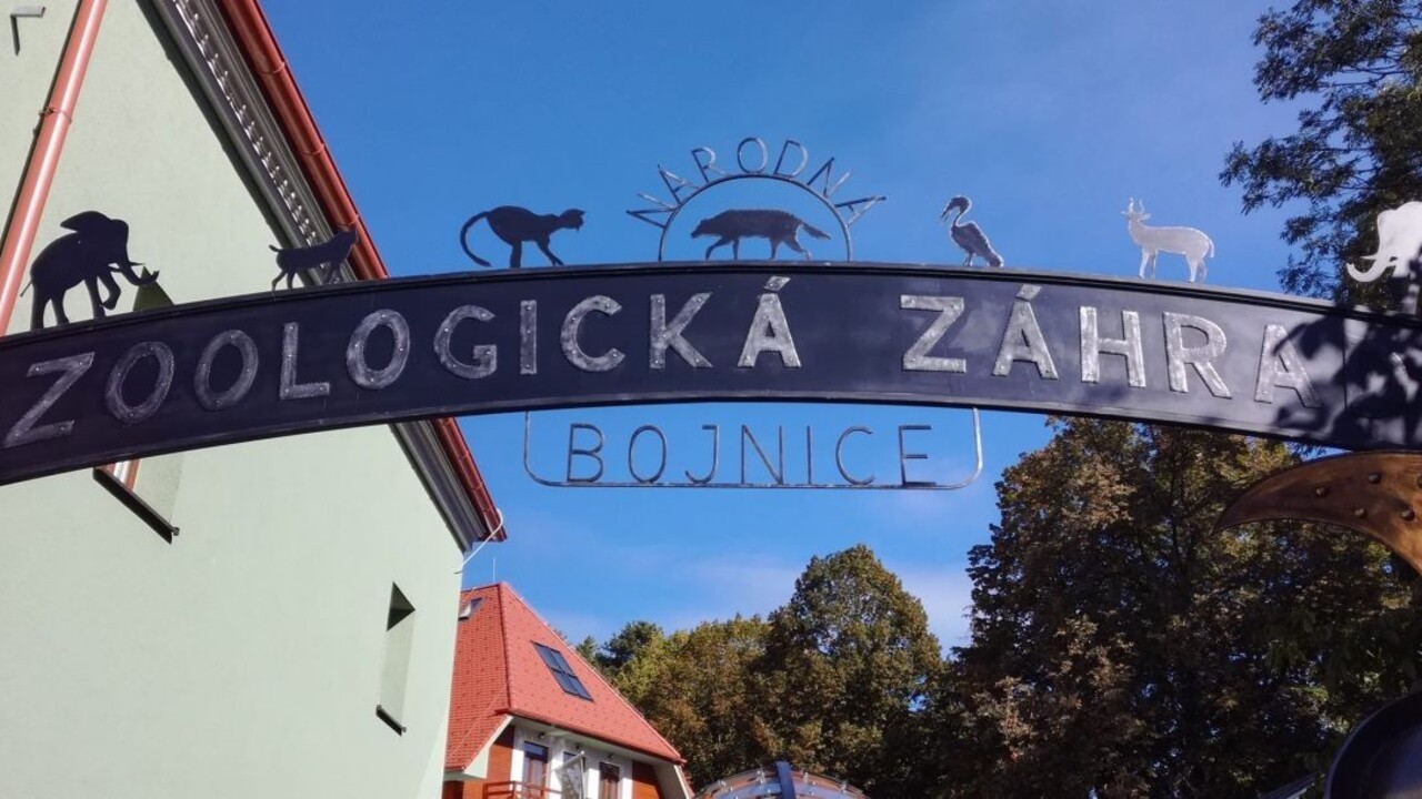 Najmenšia mačka na svete sa rozlúčila s bojnickou zoo