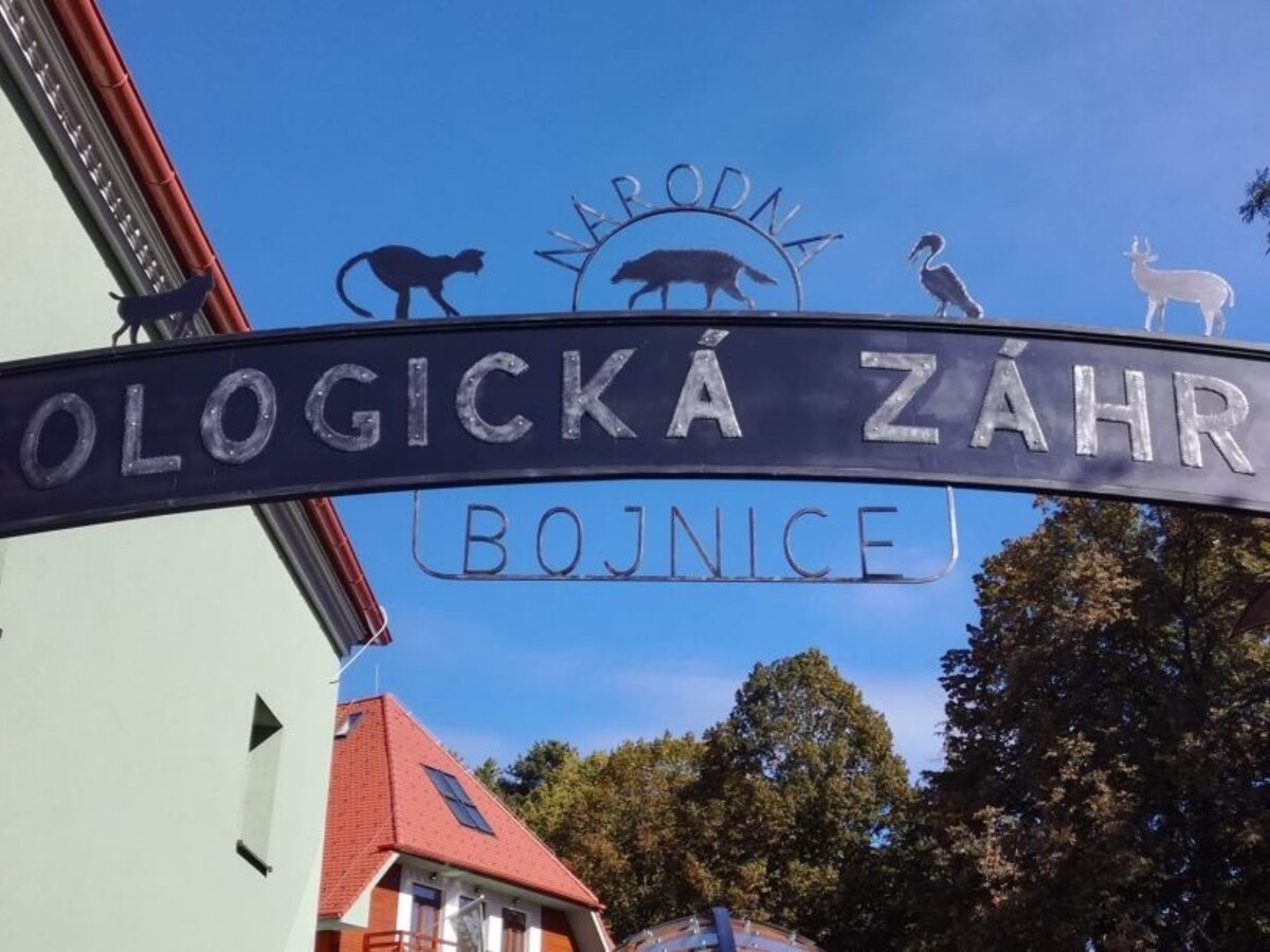 Najmenšia mačka na svete sa rozlúčila s bojnickou zoo