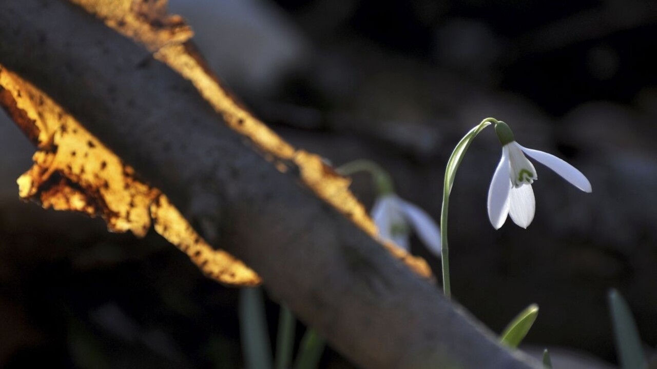 Zima sa oficiálne končí, na Slovensko prichádza jar