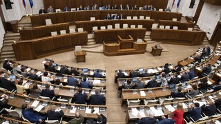 Na tvrdý brexit sme pripravení, za návrh hlasovali všetci prítomní