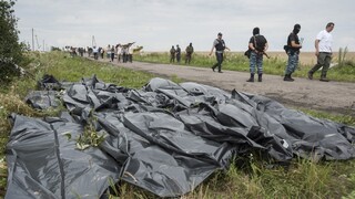 Let MH17 zostrelili nad Ukrajinou, do rokovaní sa zapojilo aj Rusko