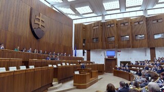 Posun alebo nezmysel? Poslanci rokovali o Istanbulskom dohovore