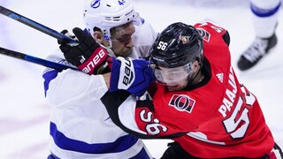 NHL: Černák a Jaroš sa stretli na ľade, Ottawa Tampe podľahla