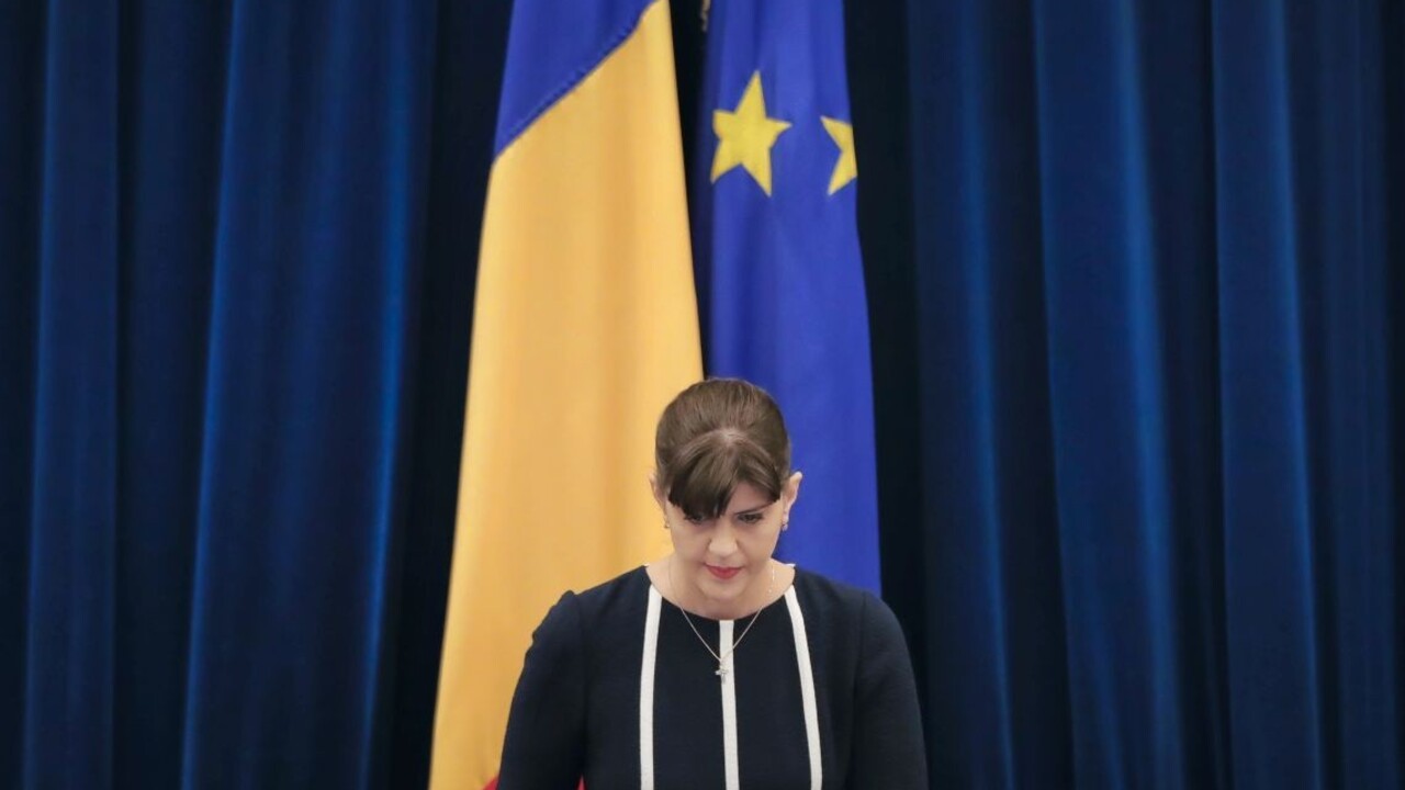 Podporte pitbula z Rumunska, vyzvala SaS slovenskú vládu