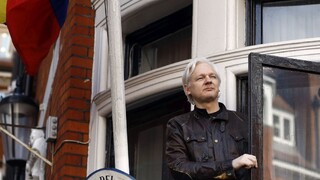 Dômyselne ho špehujú, tvrdí WikiLeaks o lídrovi organizácie