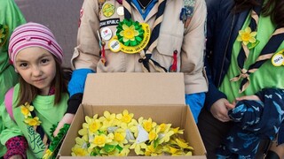 ŠTÚDIO TA3: Riaditeľka LPR E. Kováčová o Dni narcisov 2019