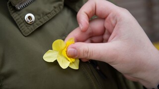 Rakovinou trpí každý 25. Slovák, horšie sú na tom ženy