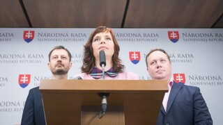 Živnostníkov treba chrániť. OĽaNO chce osloviť aj nového ministra
