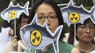 WTO podporila Kóreu, ktorá po Fukušime obmedzuje dovoz rýb z Japonska