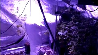 NAKA v dome našla tri stany s drogami. Zverejnili video
