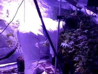 NAKA v dome našla tri stany s drogami. Zverejnili video