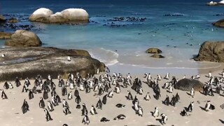 Aj biliard je vrcholový šport / JAR očami cestovateľa