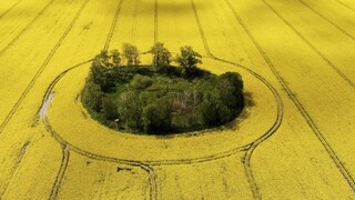 Ceny bytov znova rastú, prekvapilo to aj odborníkov