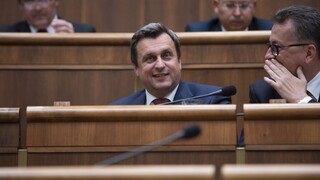 EÚ nespochybňujem, ale potrebuje reformu, tvrdí Danko