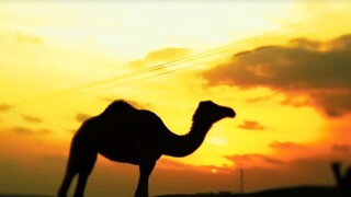 Katar má nové národné múzeum / Arábia očami cestovateľa