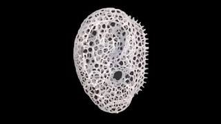 Obľúbené hotely a kostoly zasiahli explózie, hlásia viac ako 200 mŕtvych