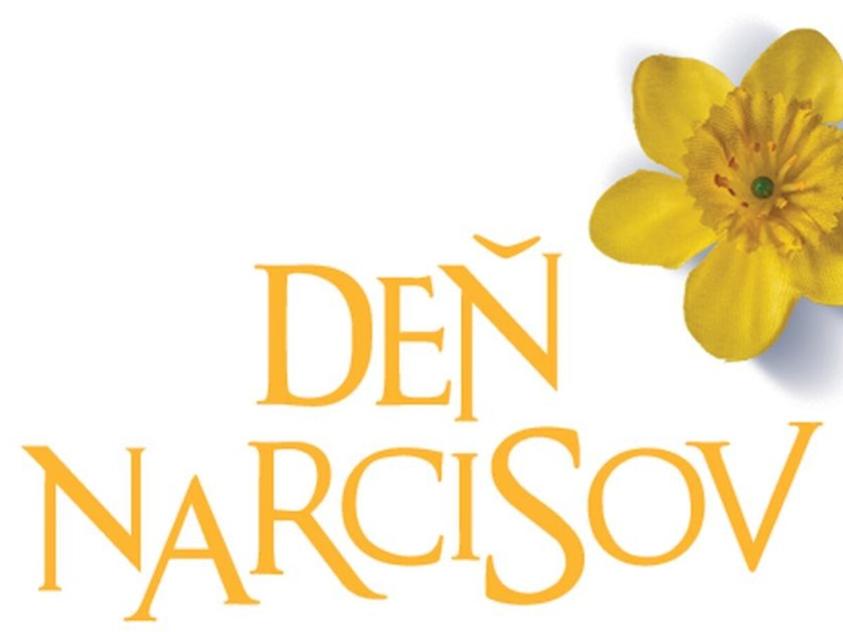 Deň narcisov nemôže mať pauzu