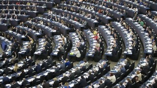 Voľby do europarlamentu sa blížia, očakáva sa vyššia účasť