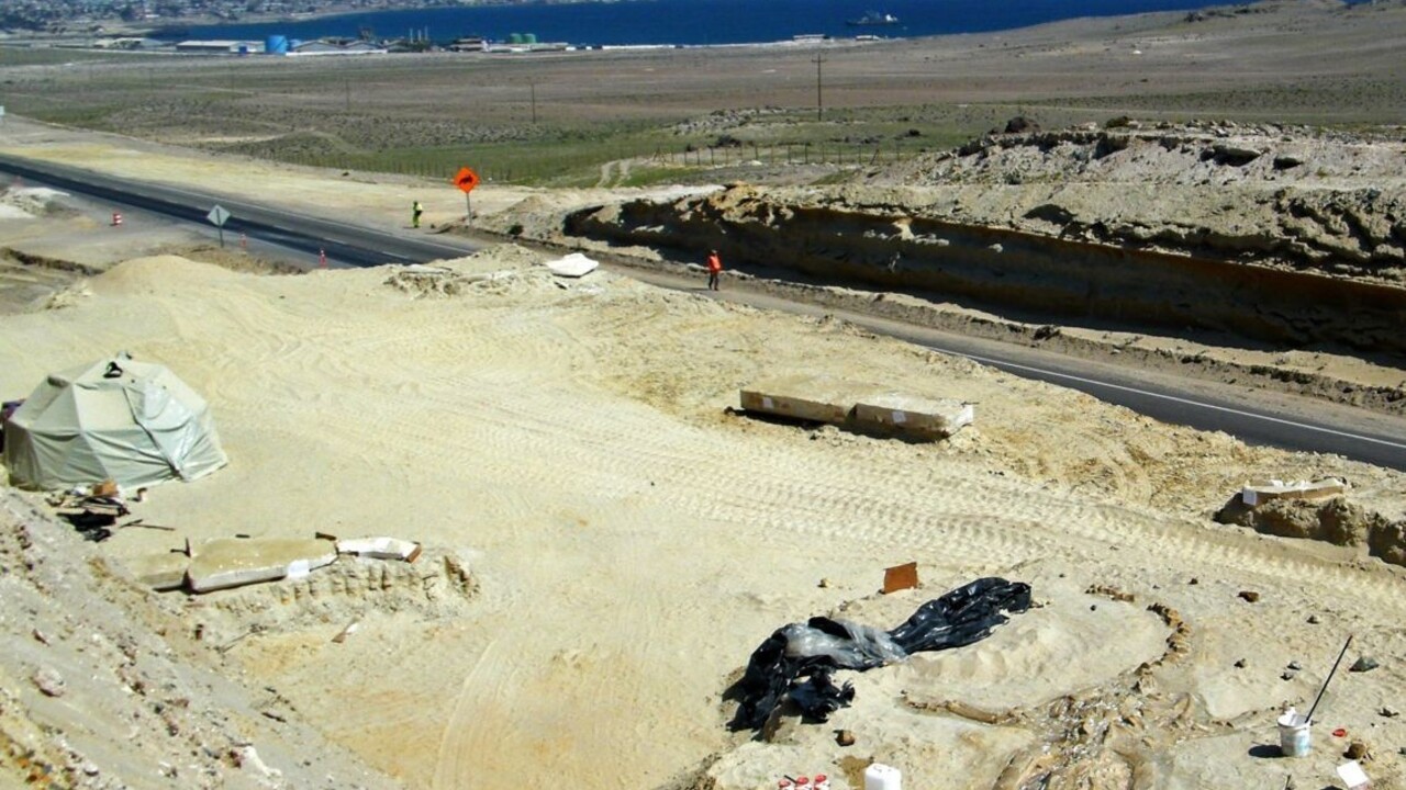 Históriu musia prepísať, človek prišiel do Ameriky skôr