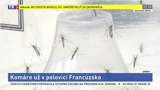 Nebezpečné komáre sa rozšírili, sú už v polovici Francúzska