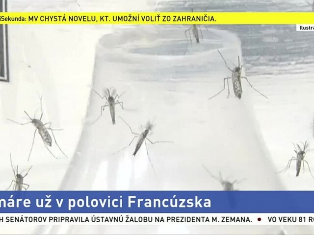 Nebezpečné komáre sa rozšírili, sú už v polovici Francúzska