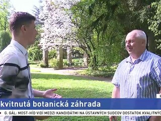 ŠTÚDIO TA3: J. Bella o Botanickej záhrade UK v Bratislave