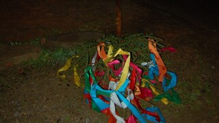 Stavanie mája sa skončilo tragicky. Na chlapca spadol kmeň