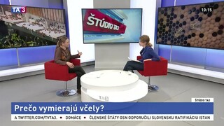 ŠTÚDIO TA3: H. Sekulová o tom, prečo vymierajú včely