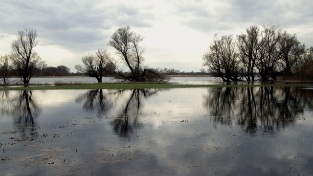 Padol rozsudok. Muž, ktorý rozštvrtil prostitútku, dostal doživotie