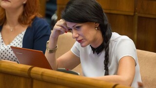 Hádali sa pre sestry a sanitky, dôvodom sú poslanecké návrhy