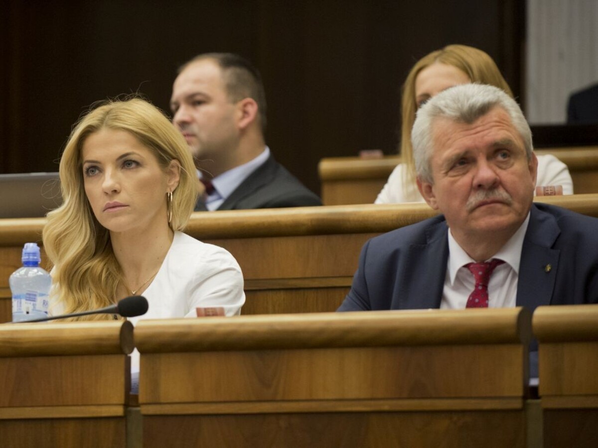 Šimkovičovej zákon o návratoch detí z cudziny opäť prešiel