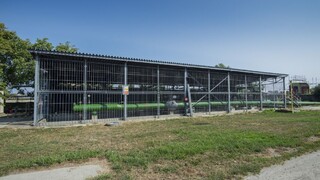 Ukrajina obnovila dodávky ropy do Európy cez ropovod Družba