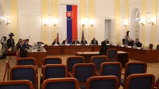 SaS a koalícia spolu rokovali o voľbe ÚS, vyjasnili si stanoviská